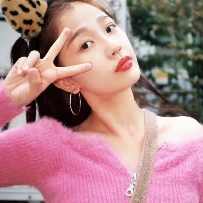 携带狗的猫