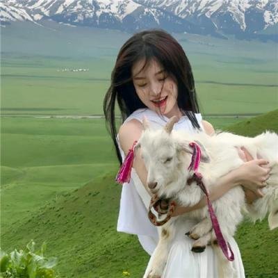 艾德·希兰:成名之路